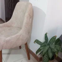 صندلی نهارخوری