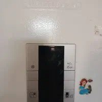 یخچال فریزر،بلومبرگ آلمان