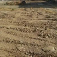 زمین  فروش فوری