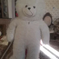 شاسخین|اسباب‌بازی بچه|مراغه, |دیوار