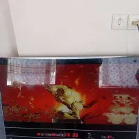 چراغ خواب|چراغ خواب و آباژور|خوی, |دیوار