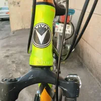 دوچرخه ۲۶ ویوا اصلی تایوانی|دوچرخه، اسکیت، اسکوتر|شیراز, گلکوب|دیوار