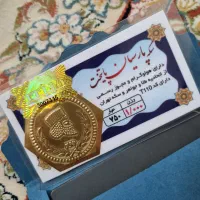 سکه پارسیان