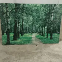 تابلو آماده با نور سالم سالم|تابلو، نقاشی، عکس|رشت, پل تالشان|دیوار