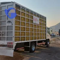 الوند ۹۳مرغی 8.5تن|خودرو سنگین|سلماس, |دیوار