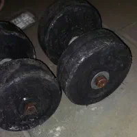 دو عدد دمبل ۲۰ کیلویی