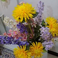 گل و گلدان سالم