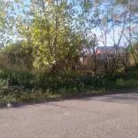 کلنگی ۲۴۸ متری با کنتور آب و برق اطراف کوچصفهان|فروش خانه و ویلا|رشت, بلوار گیلان|دیوار