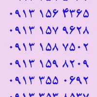 ۰۹۱۳.۳۵۸.۳۳۲۵