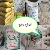 تمام نیازهای روزانه و مصرفی شما با یک تماس|حراج|کاشان, الغدیر|دیوار