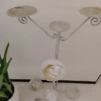 فرفوژه گلدان گل|گل و گیاه طبیعی|فردیس, قریشی|دیوار