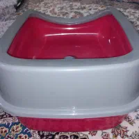 جای دستشویی گربه