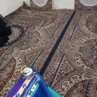 3تخته قالین درحدفروش فوری|فرش|قم, دروازه چوبی|دیوار