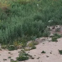 زمین-نزدیک-ب-بافت-مسکونی