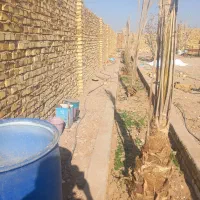 باغ چهار دیواری