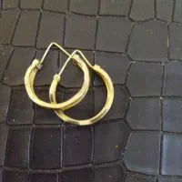 گوشواره سالم