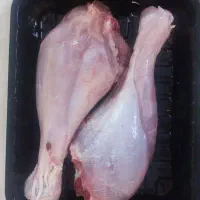 پخش گوشت بوقلمون در محل