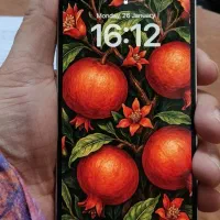 آیفون ۱۲ پرومکس پلمپ|موبایل|تبریز, |دیوار