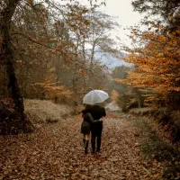 تخفیف عکاسی و کلیپ فرمالیته|خدمات پذیرایی، مراسم|یزد, |دیوار