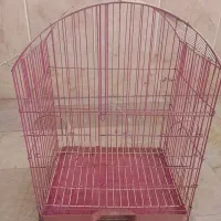 اسباب پرنده