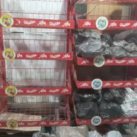 قیمت توافقی|فروشگاه و مغازه|اردبیل, |دیوار