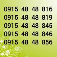 0915-48-48-816