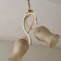لوستر