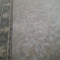 فرش ۱۲۰۰ شانه|فرش|شاهین‌شهر, بوستان حافظ|دیوار