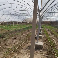 نصاب و جوشکار گلخانه|خدمات پیشه و مهارت|زابل, |دیوار