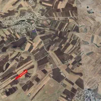 زمین کشاورزی