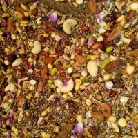 قووتوی چهل گیاه اصل کرمان