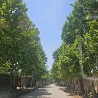 ۸۰۰متر زمین سند دار بهر اصلی بهاران آغچه حصار