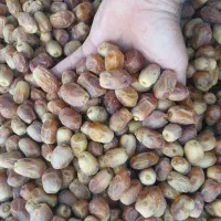فروش محصولات جنوب|خوردنی و آشامیدنی|تهران, آرارات|دیوار