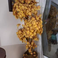 درخت مصنوعی