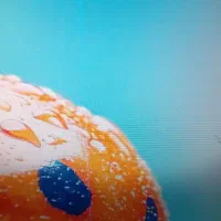 مانیتور ۱۹ اینچ برند محبوب سامسونگ|قطعات و لوازم جانبی رایانه|بابل, |دیوار