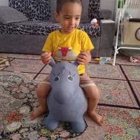 ماشین شارژی کنترلی، اسب بادی، ماشین بازی|اسباب‌بازی بچه|مشهد, نیزه|دیوار