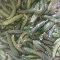 خیار تازه