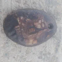 مهره قدیمی