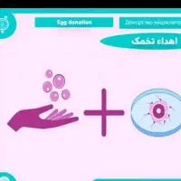 تخمک‌اهدایی