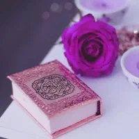 اسکن شخص (سرکتاب)