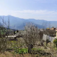 زمین ویلایی بهترین ویو منطقه ساری|فروش زمین و ملک کلنگی|ساری, |دیوار