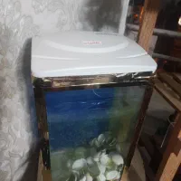 اکواریوم شرکتی ماهیران