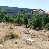 باغچه ۵۳۰ متری کهریزک جاده خاوران بعداز شریف اباد