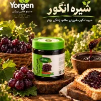 مسئول فنی