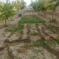 باغچه و تفرجگاه ویلایی|فروش خانه و ویلا|آبگرم, |دیوار