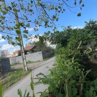 ویلا دو نبش تجاری باانشعابات /چاف وچمخاله|فروش دفتر صنعتی، کشاورزی، تجاری|چاف و چمخاله, |دیوار