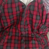 پالتو داخل ببعی