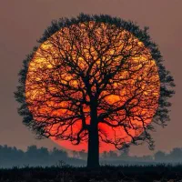 استخدام بازاریاب محصول