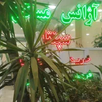 78 متر سند تک برگ//فروشنده واقعی