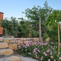 باغ ویلا به همراه گلخانه